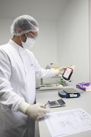 conservazione cellule staminali